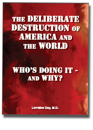 Deliberate Destruction Book